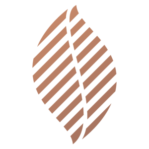 Logo feuille Le 2015