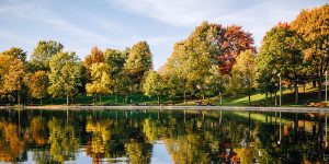 Plateau Mont-Royal vue sur un parc